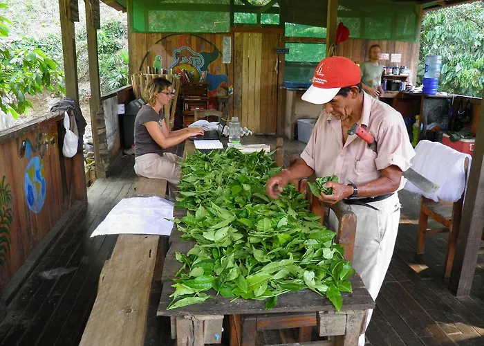Reserva Ecologica Chontachaka Lodge Pillcopata