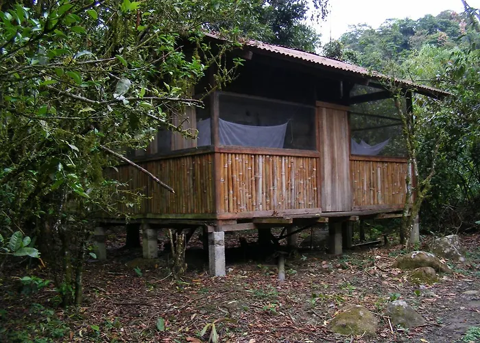 Reserva Ecologica Chontachaka * Pillcopata