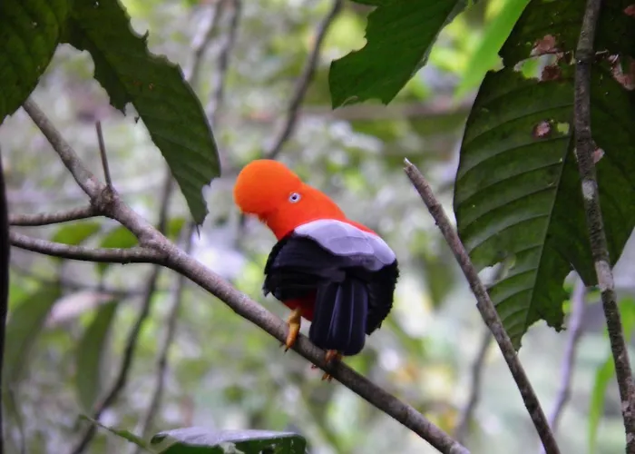 Reserva Ecologica Chontachaka *