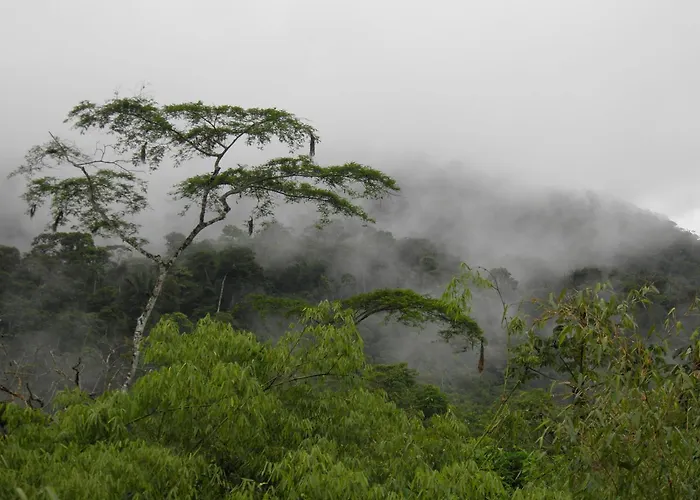 Reserva Ecologica Chontachaka Lodge
