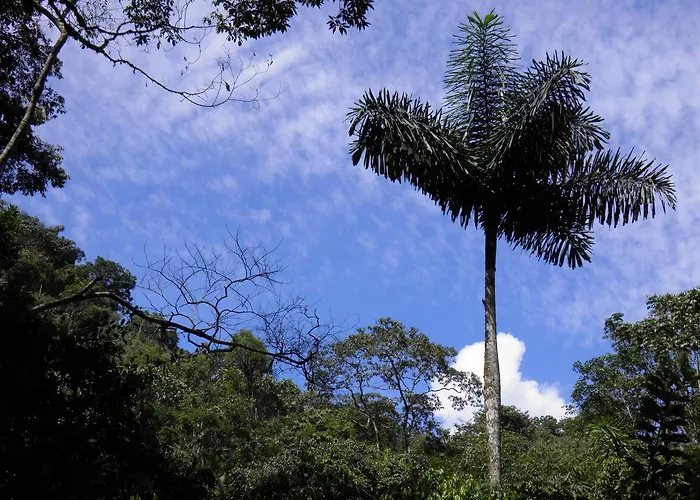Reserva Ecologica Chontachaka *