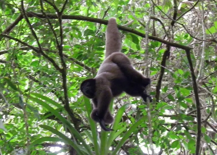 Reserva Ecologica Chontachaka Pillcopata