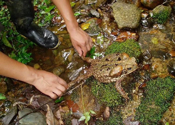 Reserva Ecologica Chontachaka