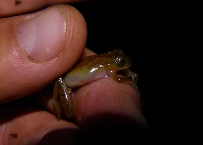Reserva Ecologica Chontachaka Pillcopata