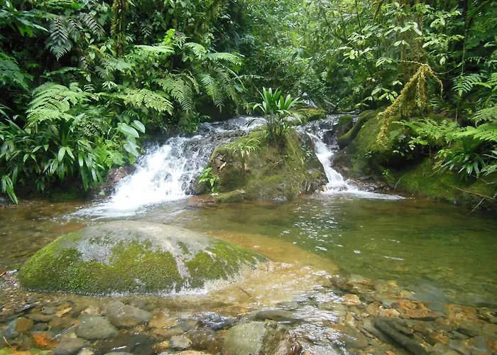 Reserva Ecologica Chontachaka